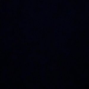 Meet your Posher, Brandyn